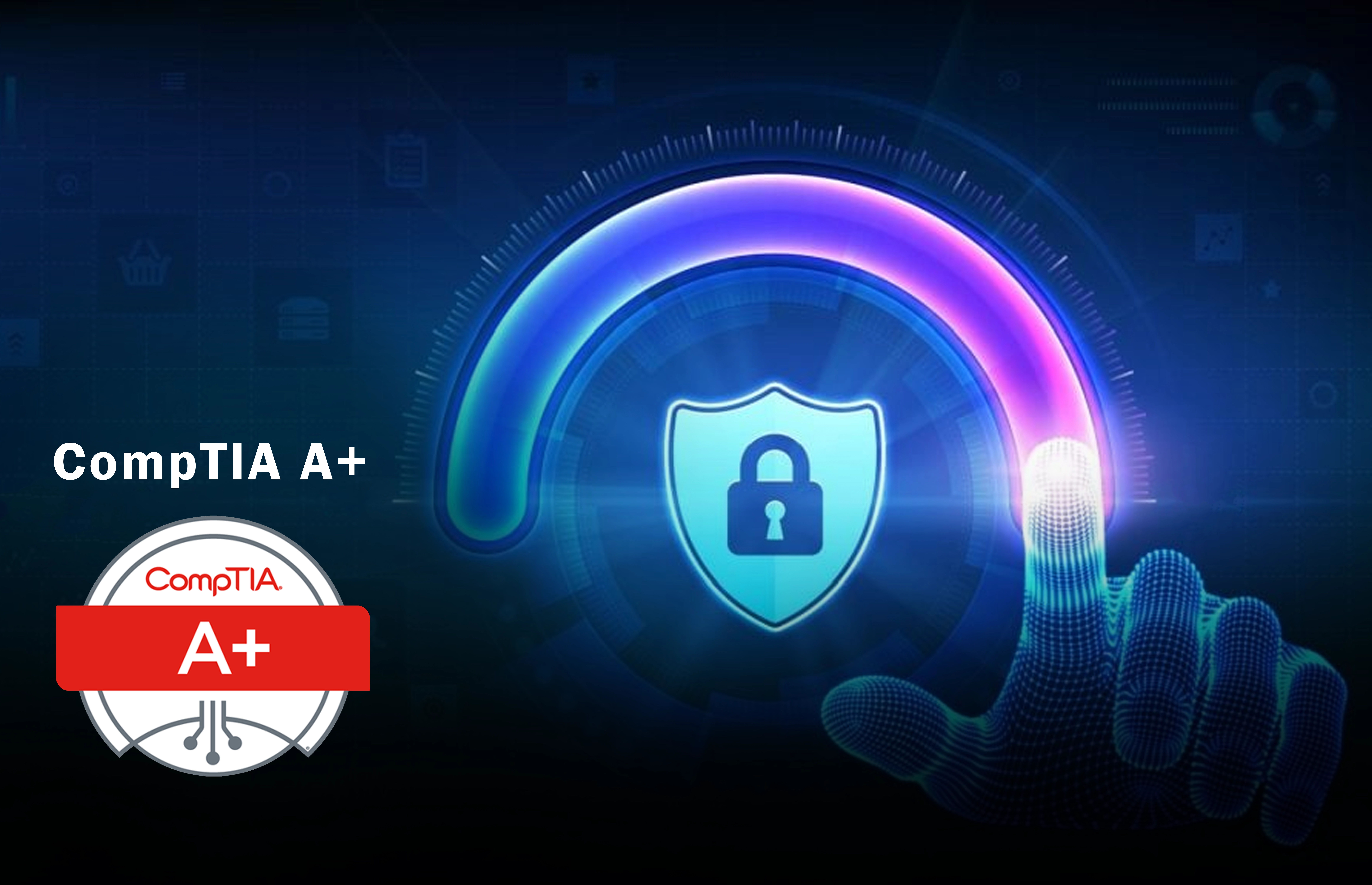 Network Penetration Testing